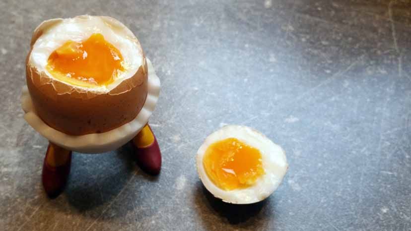 Eier, gekocht